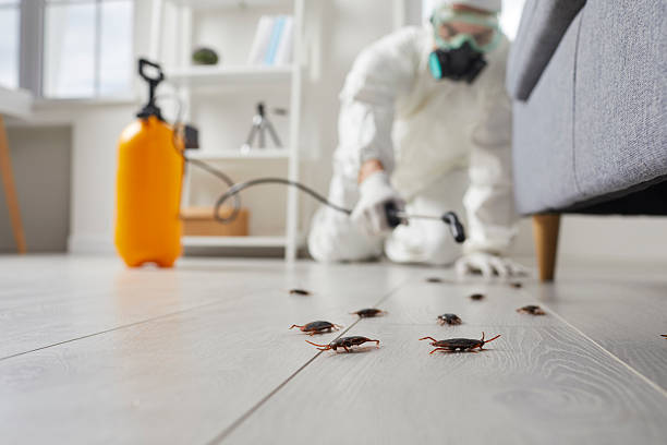 Trusted Cockroach Control service in Remerton, GA - Nex Pest Control
