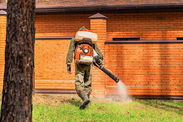 Trusted Bed Bug Control service in Remerton, GA - Nex Pest Control